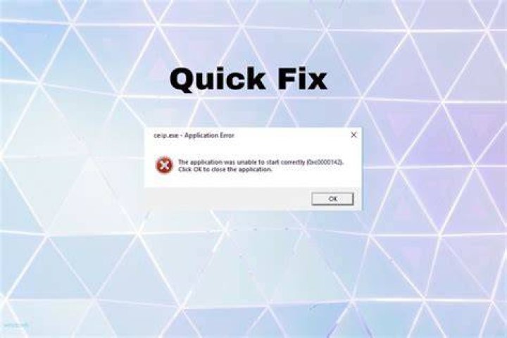 Citrix ceip.exe Application Error [Quick Guide]