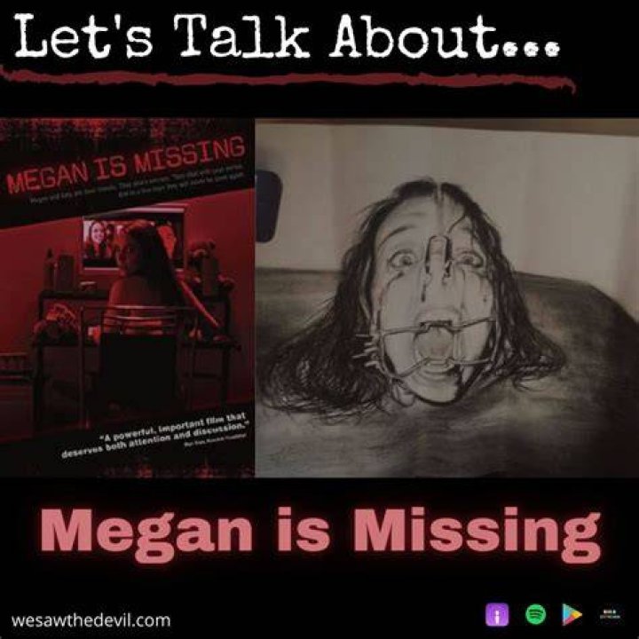 Megan Is Missing The True Crime Story How to Catch a Killer
