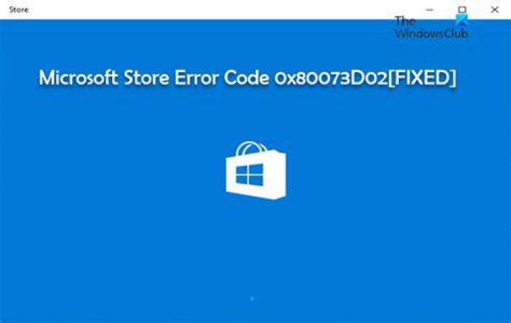 microsoft store error code