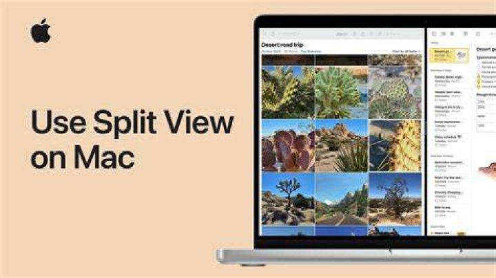 Split View