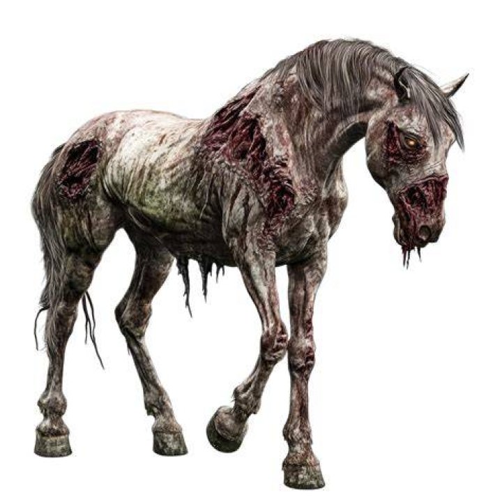 Zombie horse